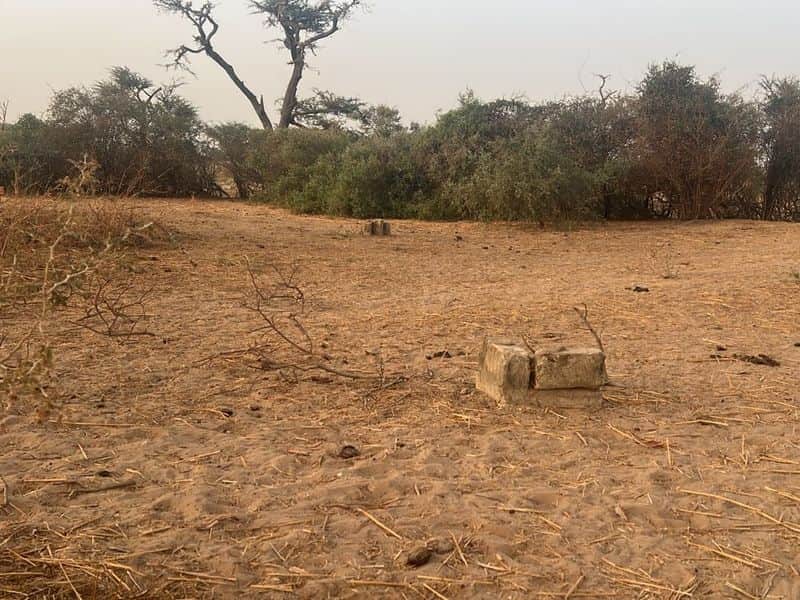 Terrain de 300 m² à Malicounda — Keur Malick Ba