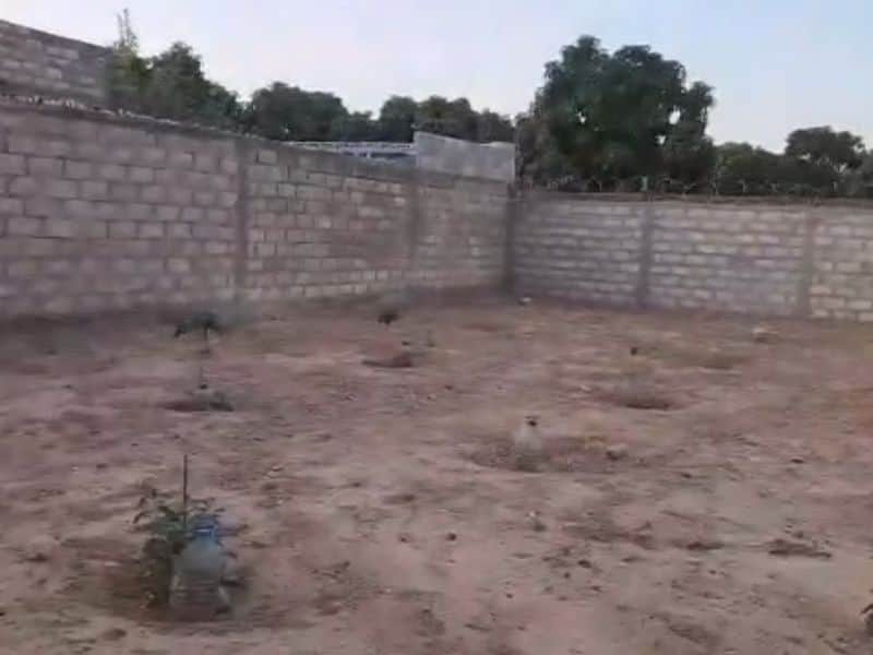 Le terrain de 300 m² à Saly Diaksao, clôturé sur tous les côtés