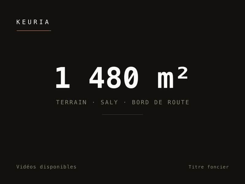Terrain de 1 480 m² à Saly, en première position depuis la route