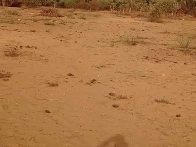 Terrain agricole de 1 hectare à Keur Ngande, route de Ngaparou
