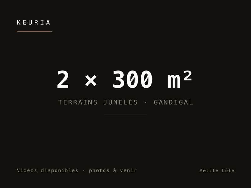 2 terrains jumelés de 300 m² à Gandigal — côté Malicounda