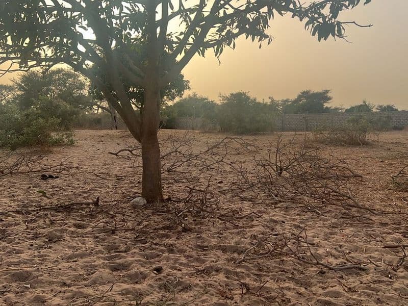 Terrain de 300 m² à Malicounda — Keur Malick Ba
