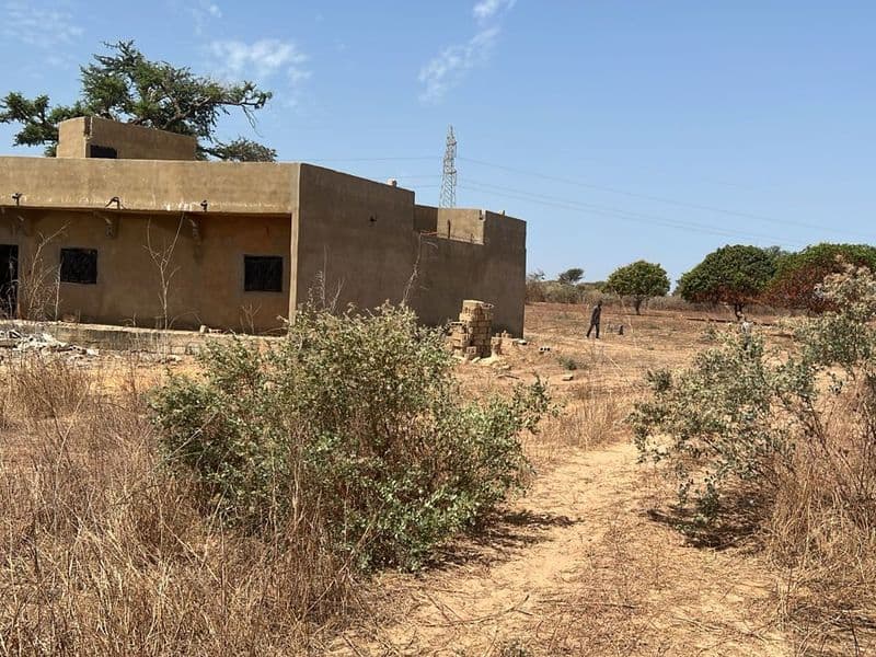 Parcelle de 233 m² à Malicounda — Keur Masseïb