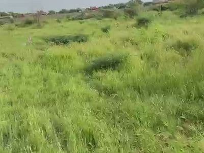 Le terrain en saison des pluies, maisons du lotissement au fond