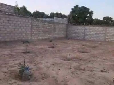 Le terrain de 300 m² à Saly Diaksao, clôturé sur tous les côtés