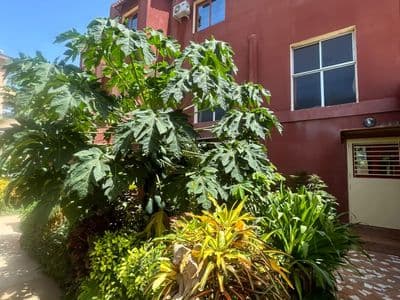 Allée du jardin menant aux logements