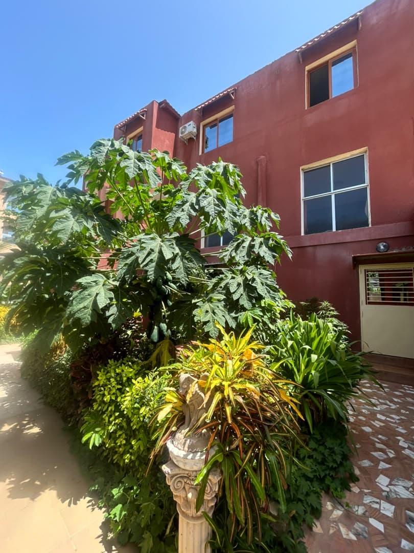 Allée du jardin menant aux logements