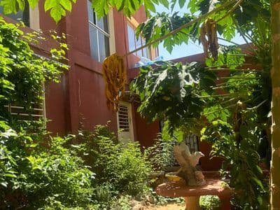 Le jardin entre les bâtiments