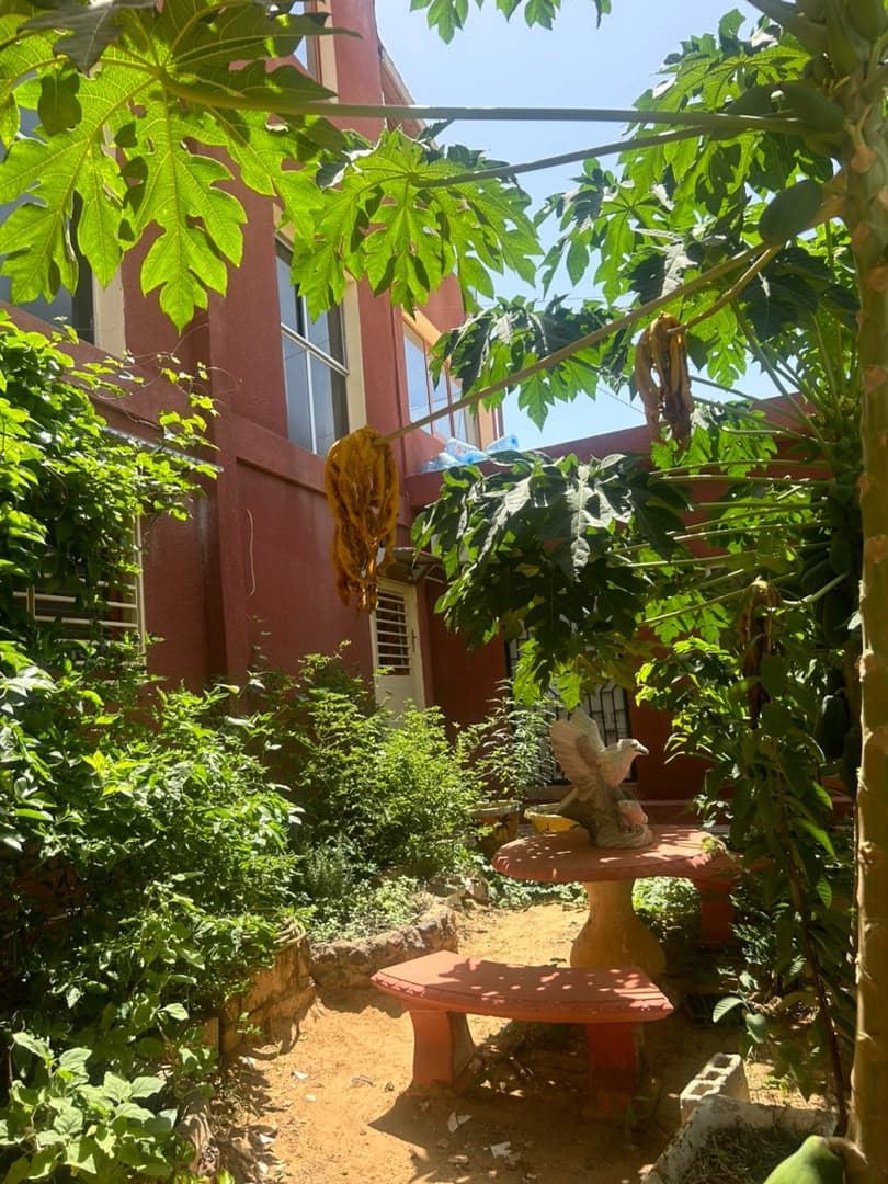 Le jardin entre les bâtiments