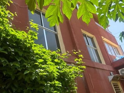 Façade sur jardin, végétation