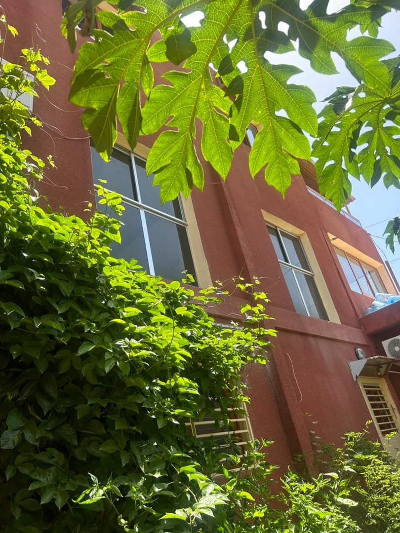 Façade sur jardin, végétation