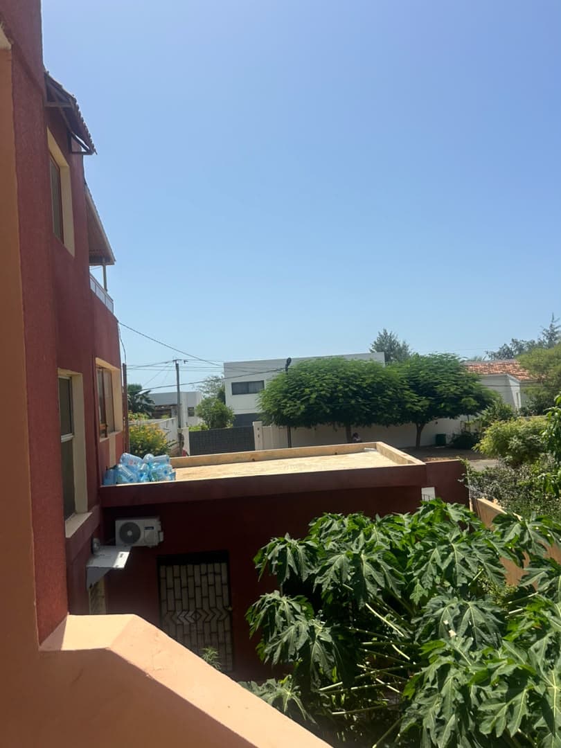 L'immeuble vu du jardin arrière