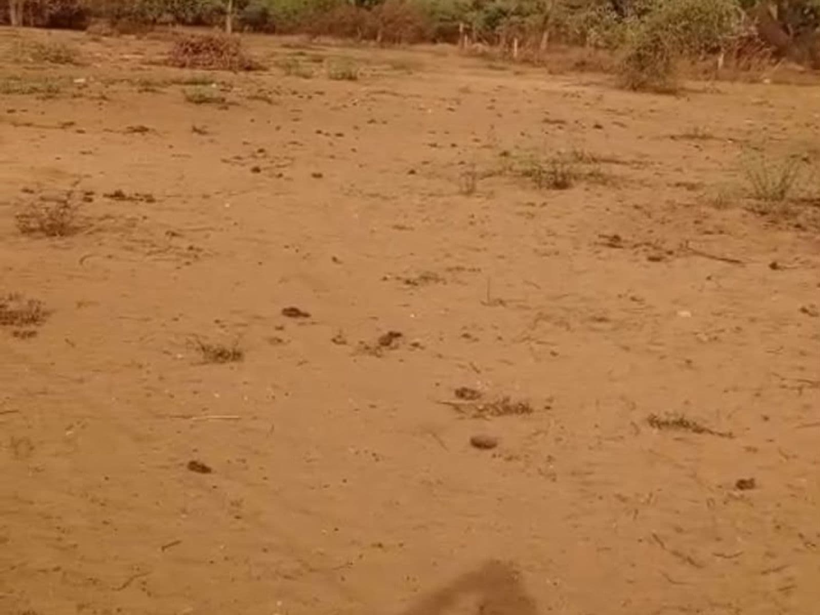 Terrain agricole de 1 hectare à Keur Ngande, route de Ngaparou