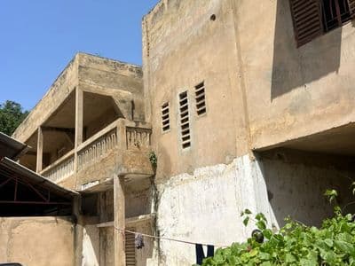 La cour et l'accès véhicules