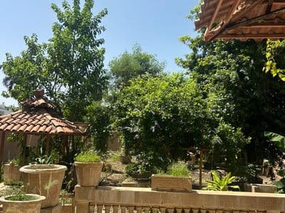 Terrasse sur le jardin