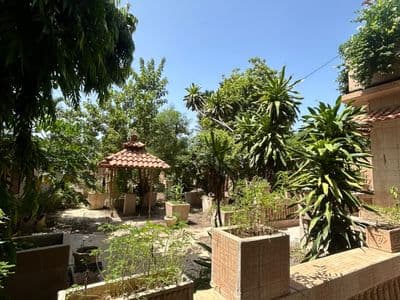 Le jardin et son kiosque