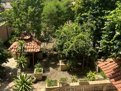 Le jardin vu de l'étage