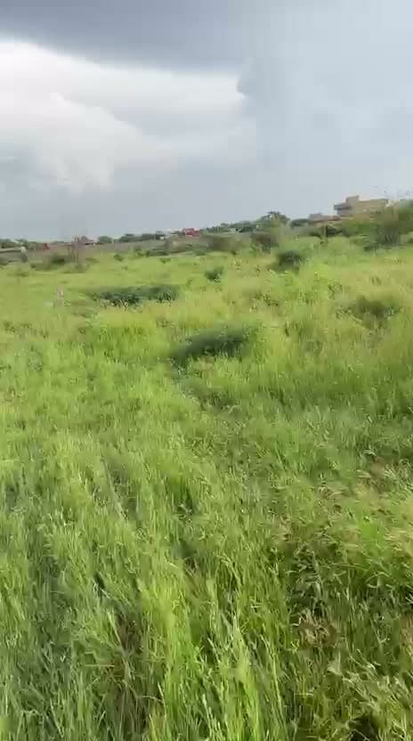 Le terrain en saison des pluies, maisons du lotissement au fond