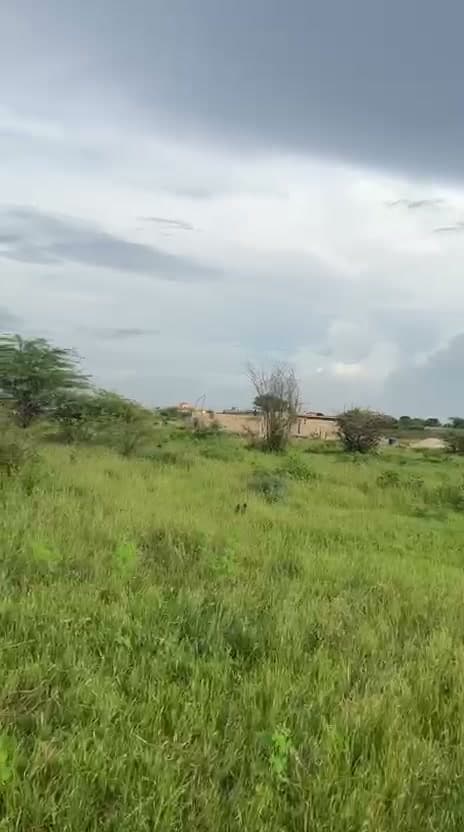Le terrain et ses bornes