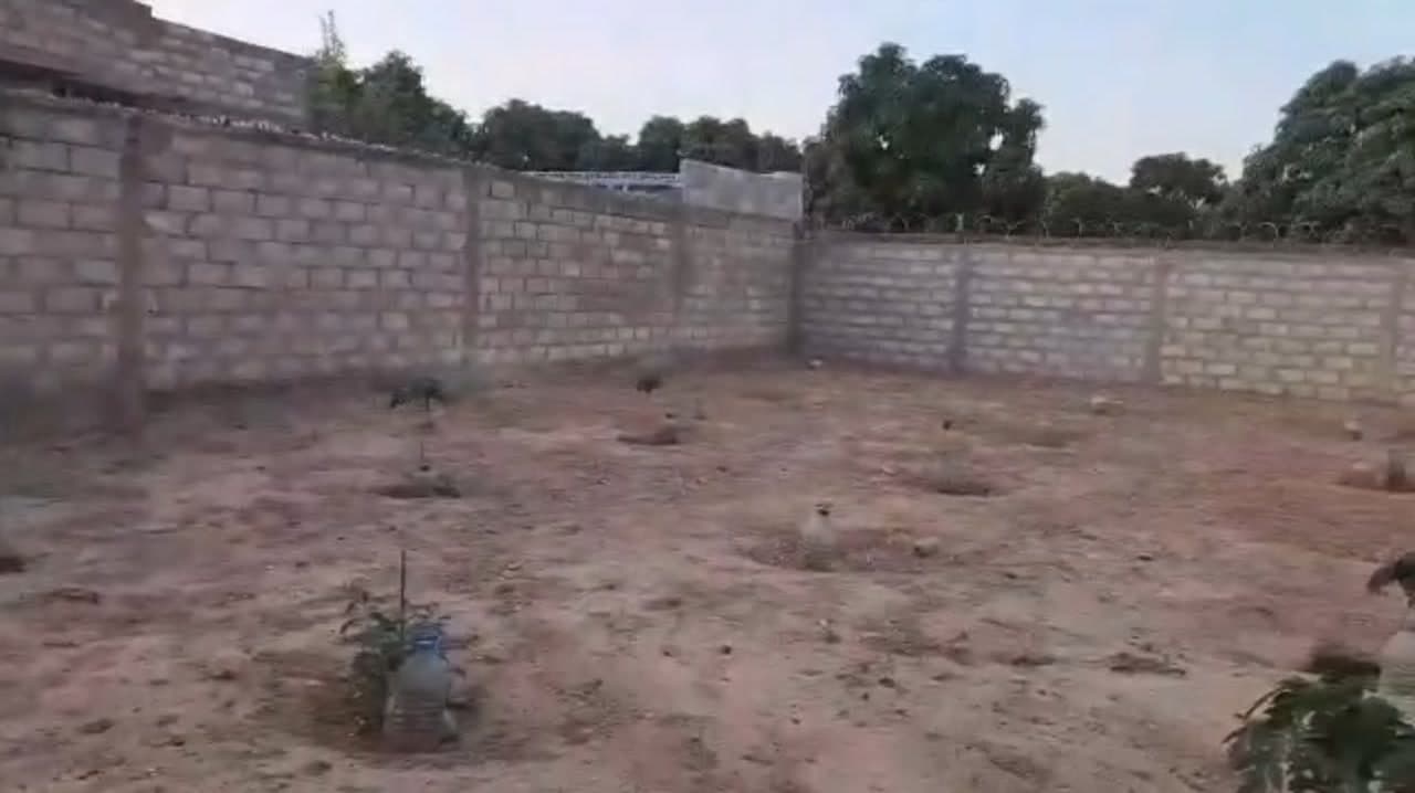 Le terrain de 300 m² à Saly Diaksao, clôturé sur tous les côtés