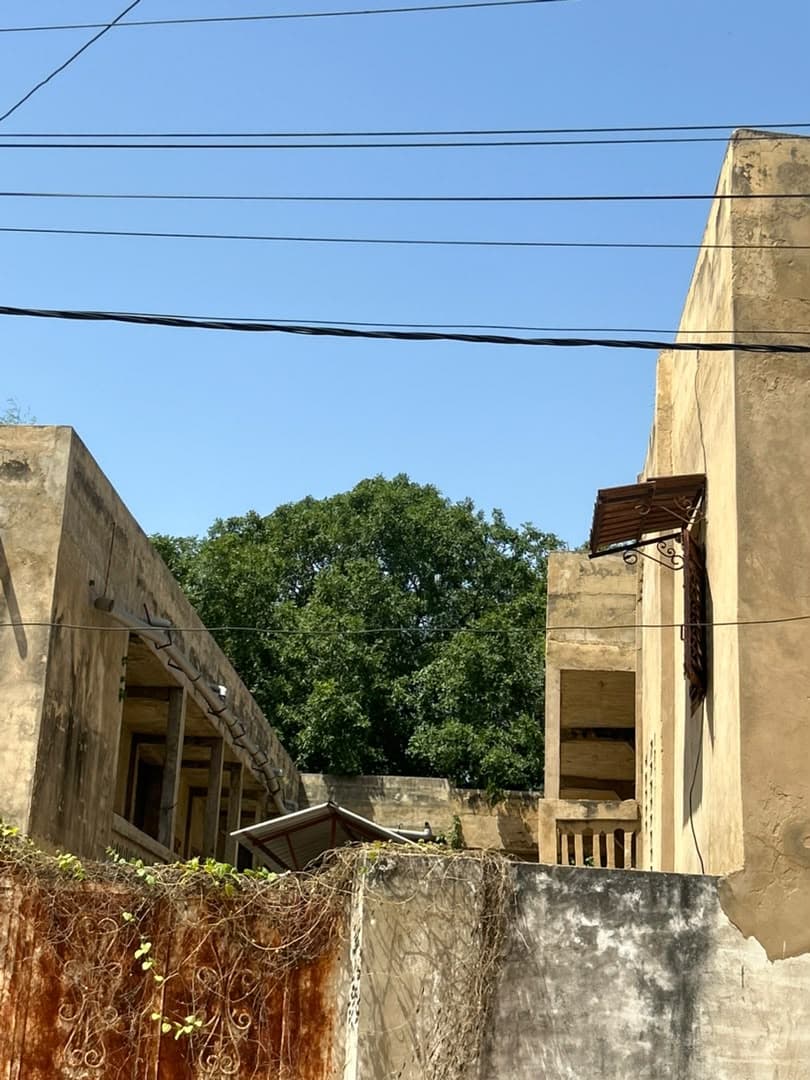 L'arrière de l'immeuble