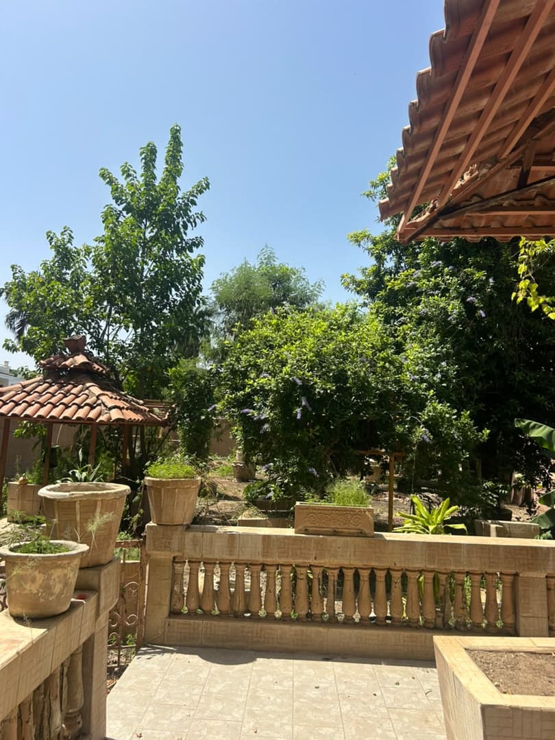 Terrasse sur le jardin