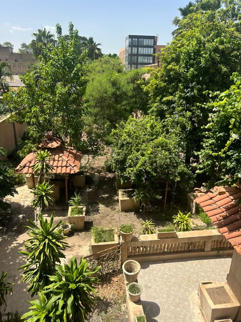Le jardin vu de l'étage